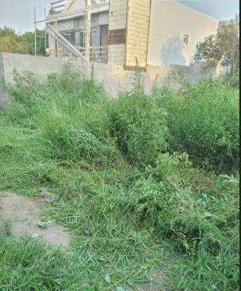 فروش زمین مسکونی 190 متر در رضی محله در گروه خرید و فروش املاک در مازندران در شیپور-عکس1