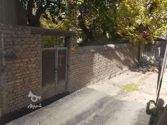 260 متر زمین باغچه در برگجهان برگ جهان لواسان در گروه خرید و فروش املاک در تهران در شیپور-عکس1
