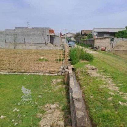فروش زمین مسکونی 130 متر در نی کلا در گروه خرید و فروش املاک در مازندران در شیپور-عکس1