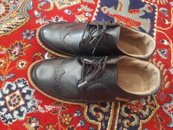 کفش پسرانه مجلسی سالم در گروه خرید و فروش لوازم شخصی در البرز در شیپور-عکس1