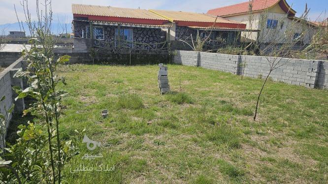 فروش زمین مسکونی 217 متر در دابودشت در گروه خرید و فروش املاک در مازندران در شیپور-عکس1
