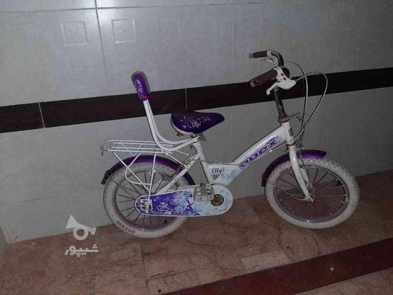 دوچرخه نو سالم در گروه خرید و فروش ورزش فرهنگ فراغت در مازندران در شیپور-عکس1