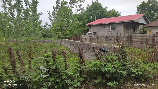 زمین مسکونی با پروانه ساخت در گیسوم در گروه خرید و فروش املاک در گیلان در شیپور-عکس1