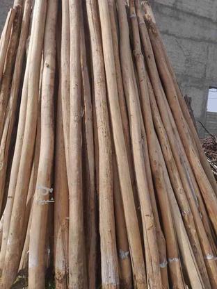 فروش چوب خشک در حد صفر در گروه خرید و فروش خدمات و کسب و کار در آذربایجان غربی در شیپور-عکس1