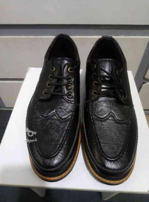 کفش مجلسی مردانه سایز 43 بندی در گروه خرید و فروش لوازم شخصی در خوزستان در شیپور-عکس1