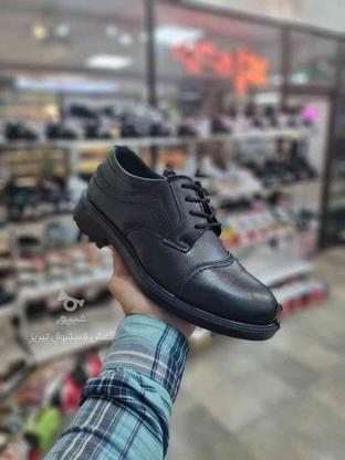 کفش مردانه حراجی در گروه خرید و فروش لوازم شخصی در البرز در شیپور-عکس1
