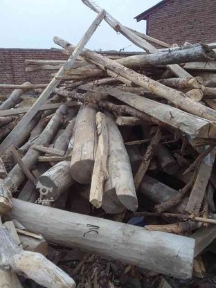 خرید انواع چوب در گروه خرید و فروش خدمات و کسب و کار در اردبیل در شیپور-عکس1