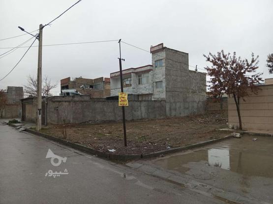 زمین با متراژ طلایی در گروه خرید و فروش املاک در خراسان شمالی در شیپور-عکس1