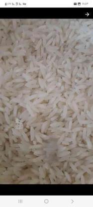 برنج طارم هاشمی یک یک در گروه خرید و فروش خدمات و کسب و کار در مازندران در شیپور-عکس1