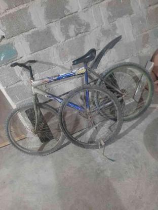 دوچرخه 26 فروشی کمب للو در گروه خرید و فروش ورزش فرهنگ فراغت در سیستان و بلوچستان در شیپور-عکس1
