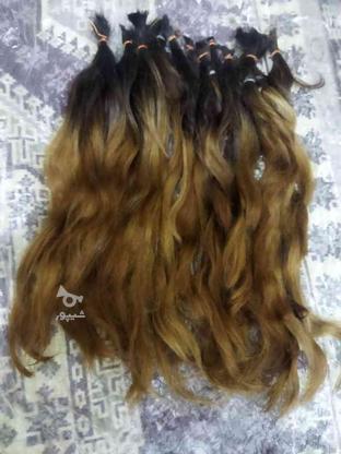 مو طبیعی رنگی در گروه خرید و فروش لوازم شخصی در آذربایجان غربی در شیپور-عکس1