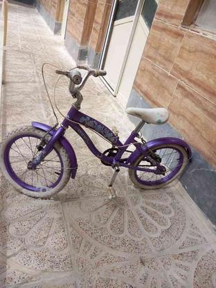 دوچرخه 16 فروشی در گروه خرید و فروش ورزش فرهنگ فراغت در آذربایجان شرقی در شیپور-عکس1