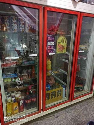 یخچال بستنی و یخچال سه درب در گروه خرید و فروش صنعتی، اداری و تجاری در خراسان شمالی در شیپور-عکس1
