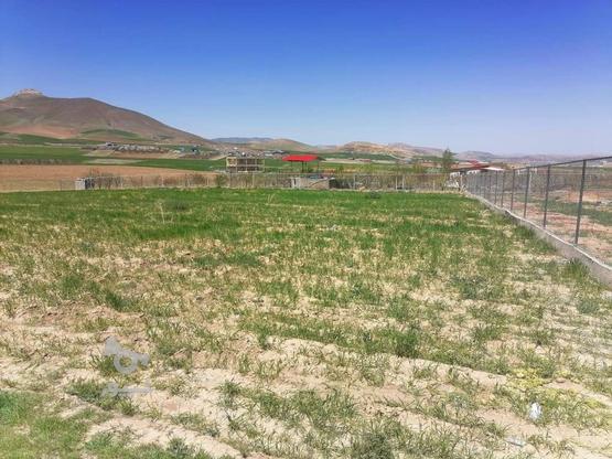 زمین خانه باغ خام 1300 متر دهنه 30 متر در گروه خرید و فروش املاک در آذربایجان غربی در شیپور-عکس1