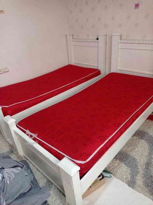دو عدد تخت نوجوان با تشک در گروه خرید و فروش لوازم خانگی در البرز در شیپور-عکس1