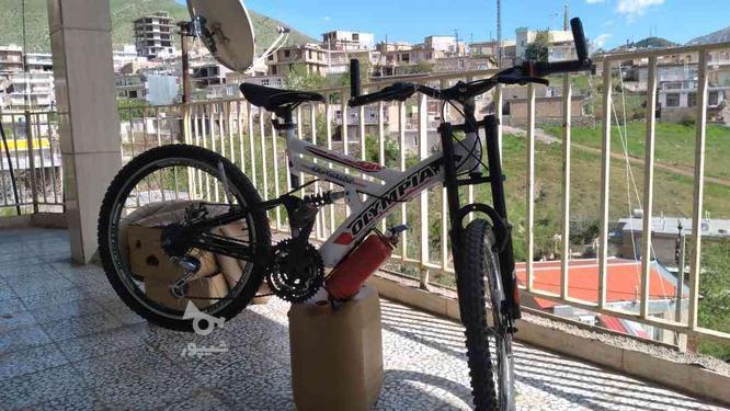دوچرخه 24 سالم در گروه خرید و فروش ورزش فرهنگ فراغت در کرمانشاه در شیپور-عکس1
