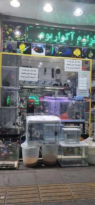 مغاز 24 متری در زرافشان در گروه خرید و فروش املاک در تهران در شیپور-عکس1