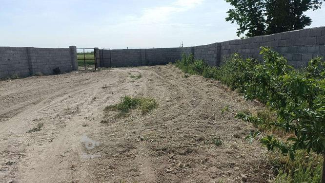زمین کشاورزی یک هکتار مجوز گلخانه در کرج تنکمان در گروه خرید و فروش املاک در البرز در شیپور-عکس1