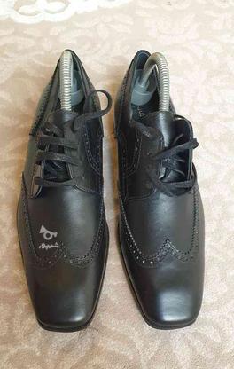 کفش دست دوز تمام چرم ساخت اسپانیا سایز 40 در گروه خرید و فروش لوازم شخصی در تهران در شیپور-عکس1