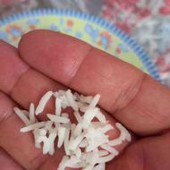 برنج طارم هاشمی زعفرانی اعلا