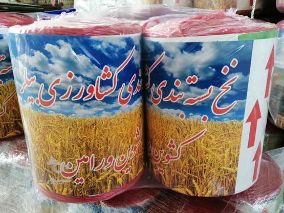 نخ بیلر بسته بندی در گروه خرید و فروش خدمات و کسب و کار در زنجان در شیپور-عکس1