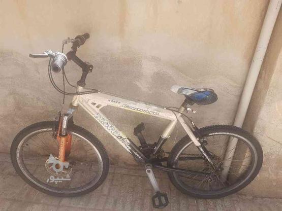 دوچرخه 24 سالم سالم در گروه خرید و فروش ورزش فرهنگ فراغت در همدان در شیپور-عکس1