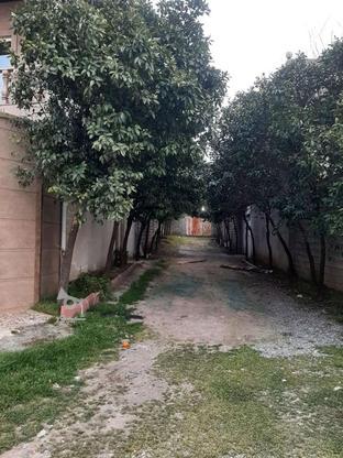 زمین و باغ330متر در گروه خرید و فروش املاک در مازندران در شیپور-عکس1
