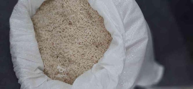 فروش برنج هاشمی گیلان در گروه خرید و فروش خدمات و کسب و کار در مازندران در شیپور-عکس1