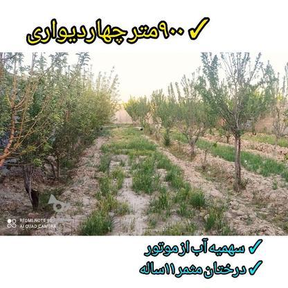 باغچه چهار دیواری با درختان مثمر 11ساله در گروه خرید و فروش املاک در تهران در شیپور-عکس1