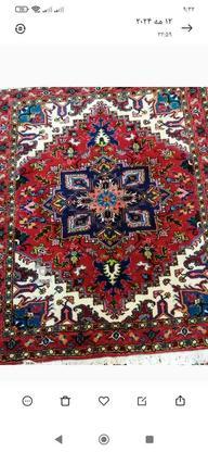 قالیچه هریس تاجری زیبا وخوشرنگ در گروه خرید و فروش لوازم خانگی در آذربایجان شرقی در شیپور-عکس1