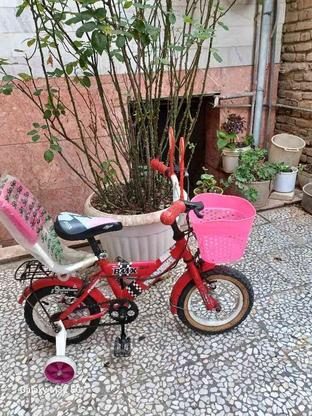 دوچرخه بچگانه سایز 12 ، در حد نو در گروه خرید و فروش ورزش فرهنگ فراغت در مازندران در شیپور-عکس1