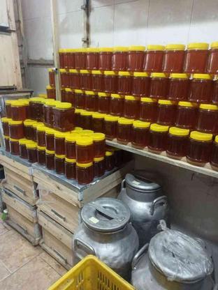 عسل صدرصد طبیعی و بهداشتی مستقیم از زنبوردار در گروه خرید و فروش خدمات و کسب و کار در تهران در شیپور-عکس1