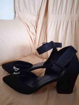 کفش مجلسی زنانه سایز 40 در گروه خرید و فروش لوازم شخصی در آذربایجان شرقی در شیپور-عکس1