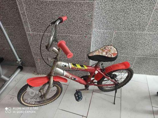 دوچرخه بچگانه در گروه خرید و فروش ورزش فرهنگ فراغت در مازندران در شیپور-عکس1