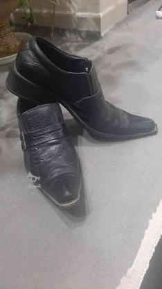 کفش مردونه سایز 40 در دومدل در گروه خرید و فروش لوازم شخصی در زنجان در شیپور-عکس1