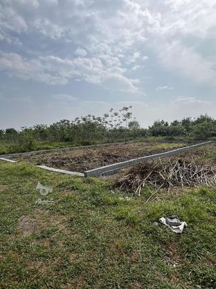 فروش 300 متر زمین واقع در زنگیشامحله در گروه خرید و فروش املاک در مازندران در شیپور-عکس1