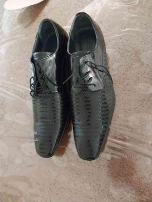 کفش مردانه سایز 41 در گروه خرید و فروش لوازم شخصی در تهران در شیپور-عکس1