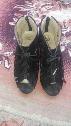 کفش بچه گانهسایز 31 نو هستن از پا دخترم کوچیک شده در گروه خرید و فروش لوازم شخصی در اصفهان در شیپور-عکس1