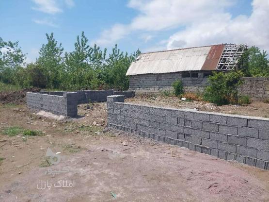 فروش زمین مسکونی 156 متر آماده ساخت و ساز  در گروه خرید و فروش املاک در گیلان در شیپور-عکس1