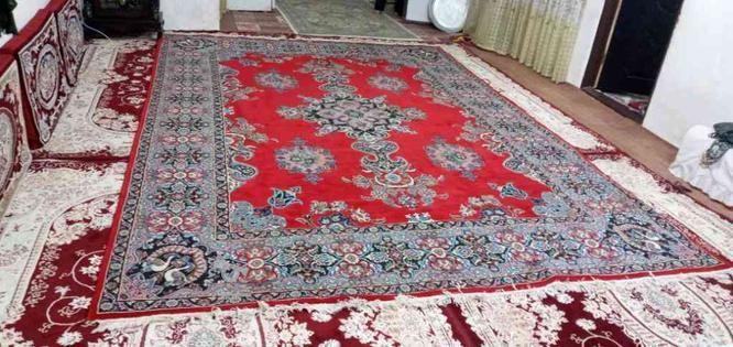 تعداد 5 عدد فرش فروش فوری در گروه خرید و فروش لوازم خانگی در تهران در شیپور-عکس1