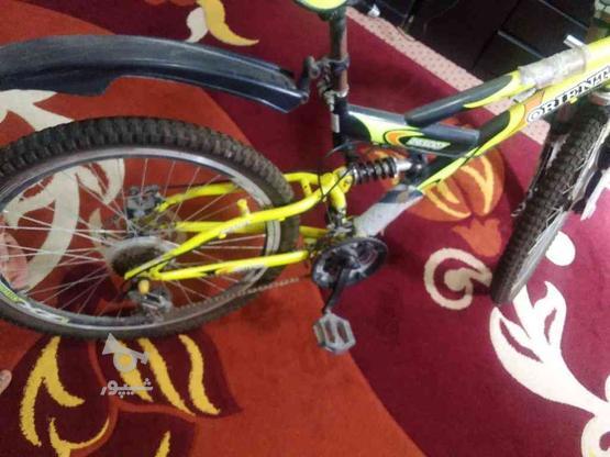 فروش دوچرخه در گروه خرید و فروش ورزش فرهنگ فراغت در سیستان و بلوچستان در شیپور-عکس1
