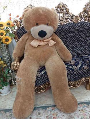 خرس بزرگ سالم در گروه خرید و فروش ورزش فرهنگ فراغت در تهران در شیپور-عکس1