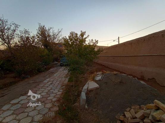 هزار متر خانه با گاوداری قزوین ،خاکعلی ،نودوز سند تک برگ در گروه خرید و فروش املاک در قزوین در شیپور-عکس1