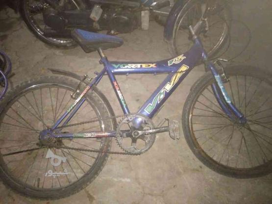 دوچرخه سالم با تخفیف در گروه خرید و فروش ورزش فرهنگ فراغت در مازندران در شیپور-عکس1