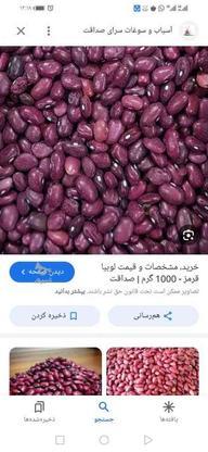 فروش لوبیا قرمز در گروه خرید و فروش خدمات و کسب و کار در فارس در شیپور-عکس1