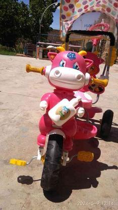 سه چرخه عروسکی در گروه خرید و فروش ورزش فرهنگ فراغت در قزوین در شیپور-عکس1