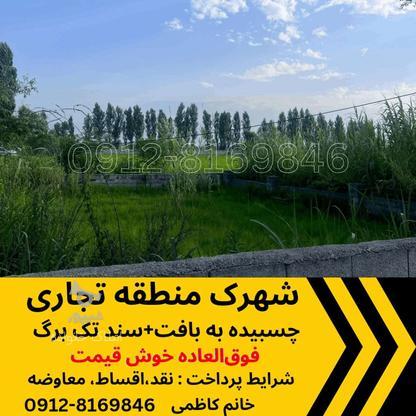 فروش زمین سند6 دانگ در گروه خرید و فروش املاک در مازندران در شیپور-عکس1