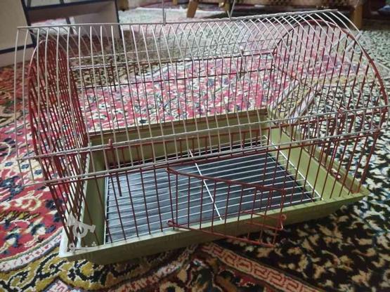قفس استفاده نشده در گروه خرید و فروش ورزش فرهنگ فراغت در گلستان در شیپور-عکس1