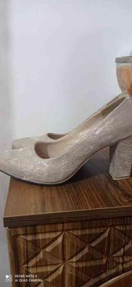 کفش مجلسی زنانه سالم وشیک در گروه خرید و فروش لوازم شخصی در مازندران در شیپور-عکس1