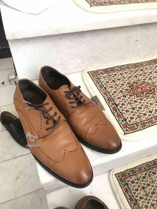 کفش سایز 42 در گروه خرید و فروش لوازم شخصی در آذربایجان شرقی در شیپور-عکس1